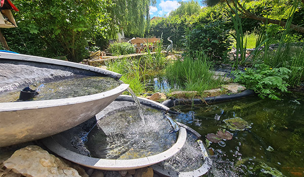 Galerie photos du Souffle du Saule chambre hote moselle alsace