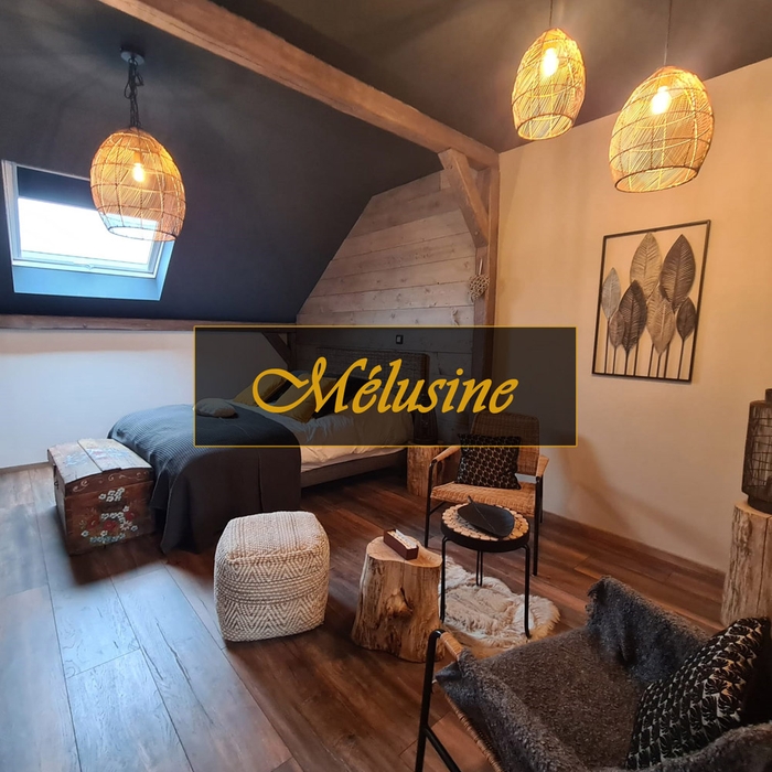Chambres d'hôtes Méslusine - Le souffle du saule - Moselle
