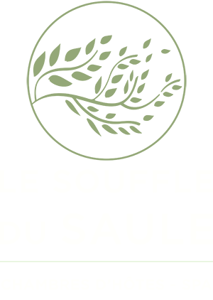 Le Souffle du Saule